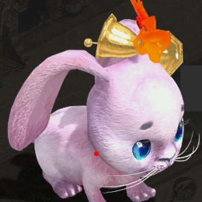 ��������˽����ʿ���ᣬ��ս���»�����ս����